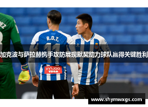 加克波与萨拉赫携手攻防展现默契助力球队赢得关键胜利