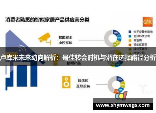 卢库米未来动向解析：最佳转会时机与潜在选择路径分析
