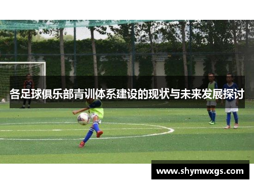各足球俱乐部青训体系建设的现状与未来发展探讨
