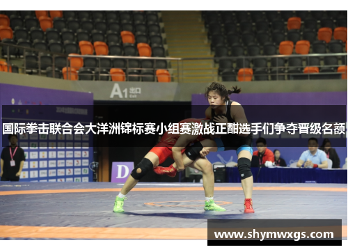 国际拳击联合会大洋洲锦标赛小组赛激战正酣选手们争夺晋级名额