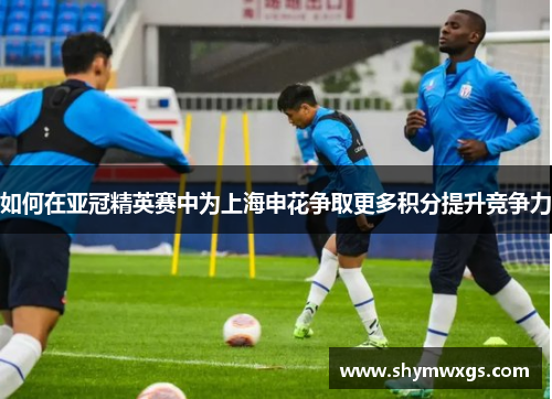 如何在亚冠精英赛中为上海申花争取更多积分提升竞争力