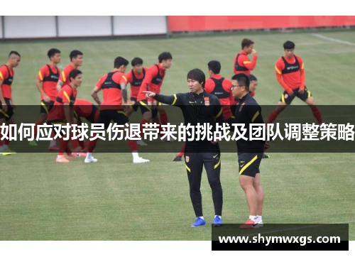 如何应对球员伤退带来的挑战及团队调整策略