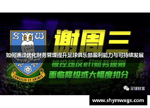 如何通过优化财务管理提升足球俱乐部盈利能力与可持续发展